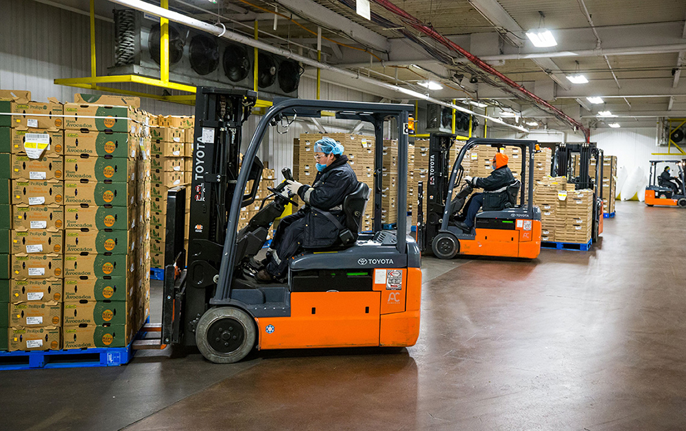 Các loại xe nâng ngành thực phẩm phù hợp